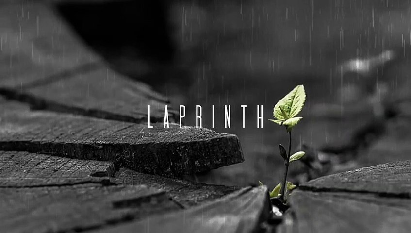 Laprinth Jealous