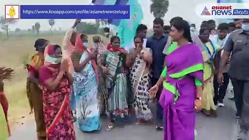 వరి రైతుల సమస్యలు తెలుసుకుంటూ... మునుగోడులో వైఎస్ షర్మిల పాదయాత్ర