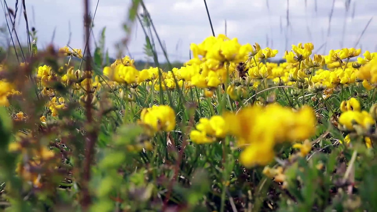 SMART INDUSTRIES - SMART INDUSTRIES, 5e partie du 17 mai 2022