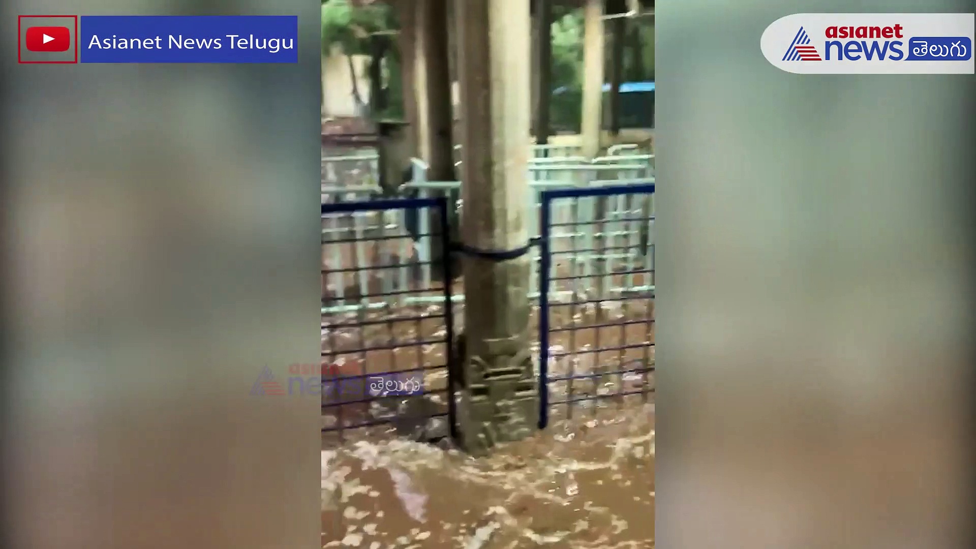 Tirupati Rains: వాయుగుండం ఎఫెక్ట్... భారీ వర్షాలతో తిరుమల దేవాలయం జలదిగ్బందం