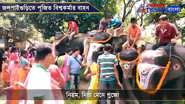 স্নান সেরে সাজল হাতির দল, ডুয়ার্সে ধুমধাম করে হল  বিশ্বকর্মার বাহনের পুজো