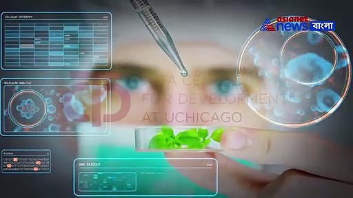 প্রখর তাপে মৃত্যু হতে পারে ১০ লক্ষেরও বেশি মানুষের, তথ্য ঘিরে চাঞ্চল্য