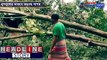 Cyclone Bulbul takes heavy toll of Sunderbans and Sagar area