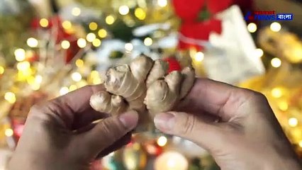 See the news on Lifestyle