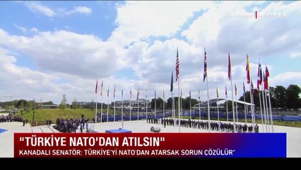 Yunan asıllı Kanadalı Senatör: Türkiye NATO'dan atılsın
