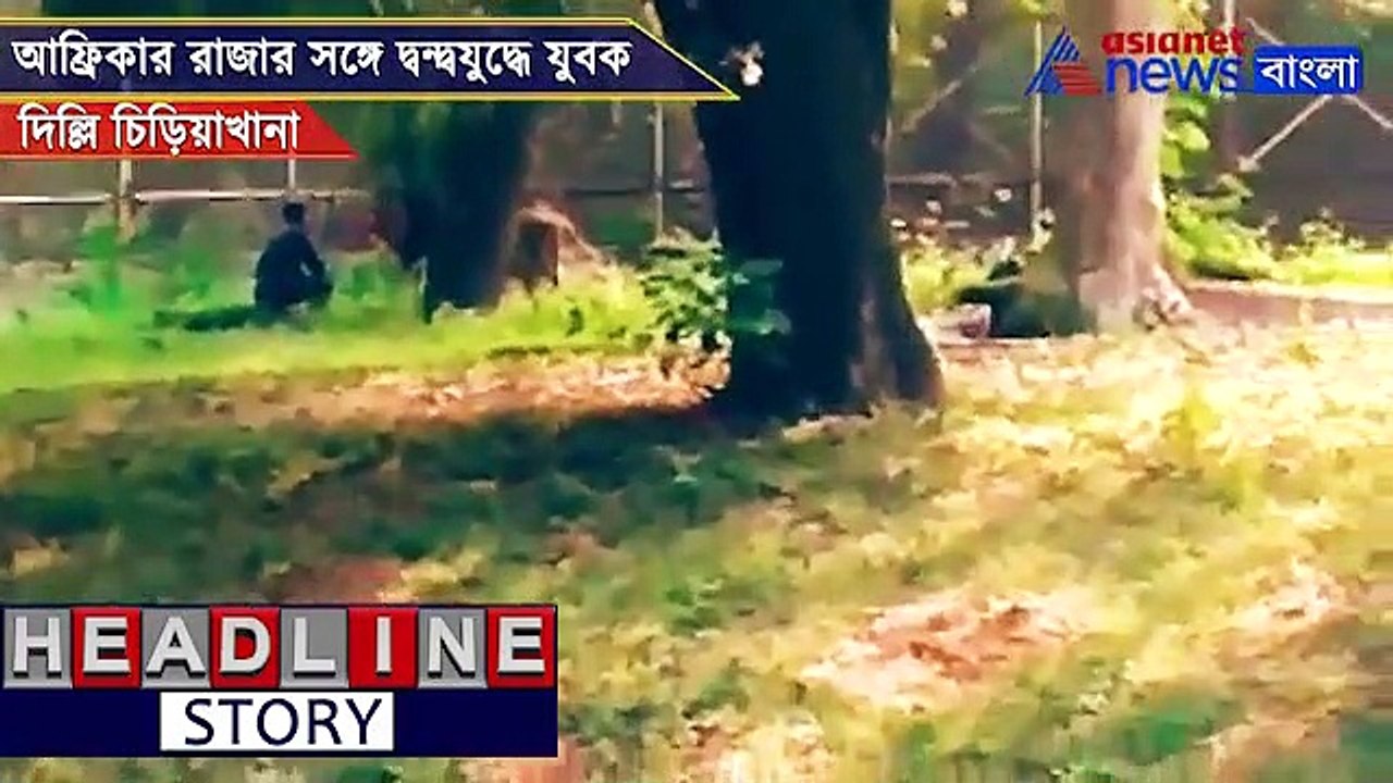 Man climbs inside Delhi Zoo enclosure of of lion