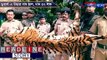 Forest department rescued Royal Bengal tiger skin in Dooars