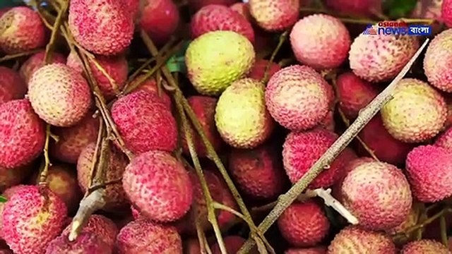 Balance Diet Bengali