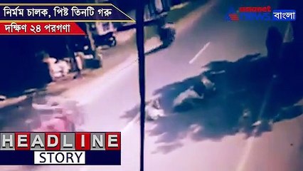 Three cows run over by a government bus in Bantala