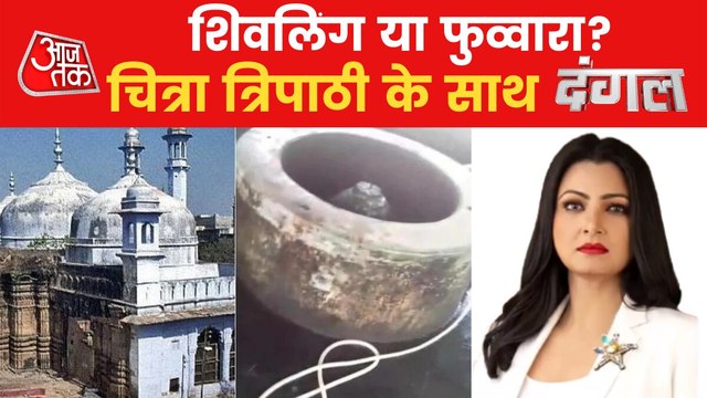 Shivling or fountain in Gyanvapi? Watch debate