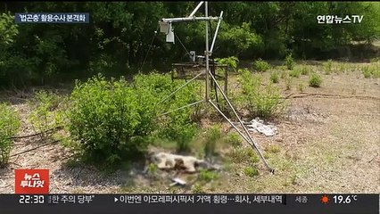 범죄 잡는 첫 단서…곤충이 말한다