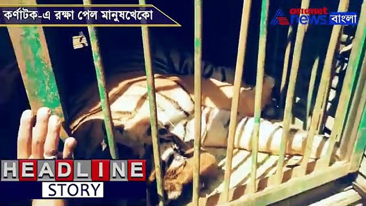 Tiger captured in Karnataka