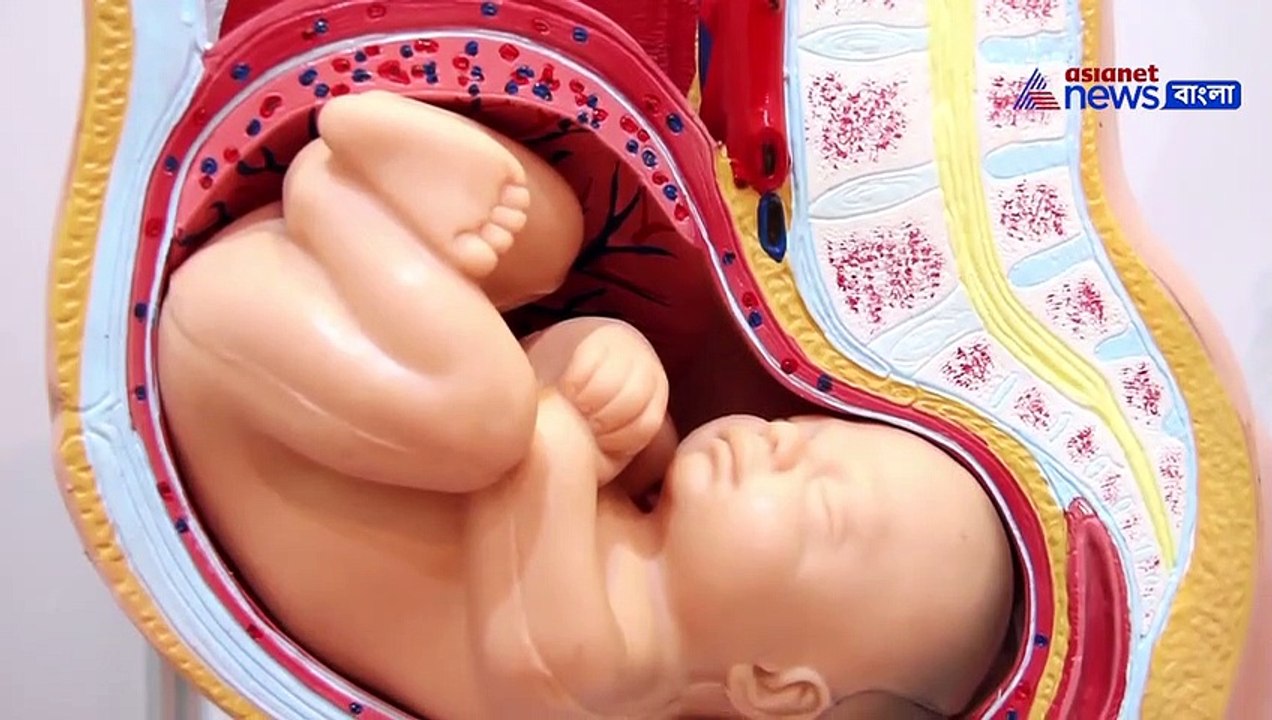 Smoking during pregnancy_bengali