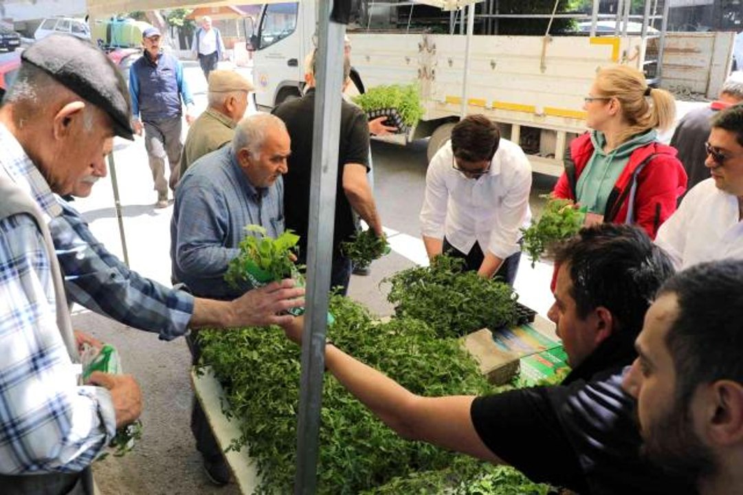 Gemlik'te ücretsiz fide dağıtımı başladı