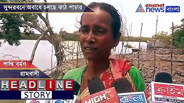 Mangroves at threat as wood smuggling rises in Sunderbans