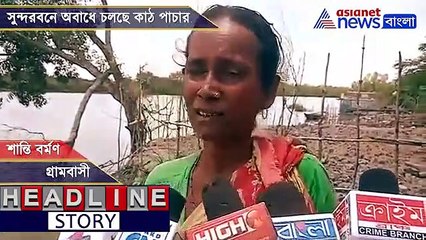 Mangroves at threat as wood smuggling rises in Sunderbans