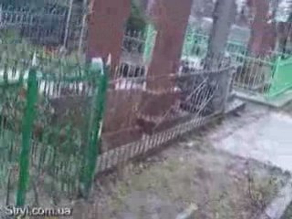 Цвинтар