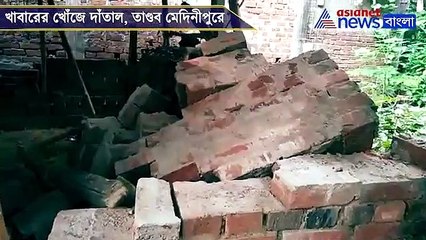 Elephant damages houses in two villages in Paschim Medinipore