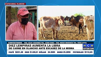 Entre 5 y 10 lempiras se dispara precio de la libra de carne de res en Olancho