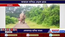 Elephant enters a village in Jhargram in search of food BTG