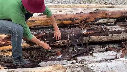 No Sound ASMR Satisfying Video That Makes You Relax _ Original Satisfying Videos_8