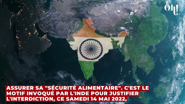 Farine, pain, pâtes... La pénurie de blé et de céréales va avoir un impact énorme sur le budget des Français