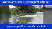 Due to heavy rainfall river dam damage in Vidyadhari River at Basirhat ASB.