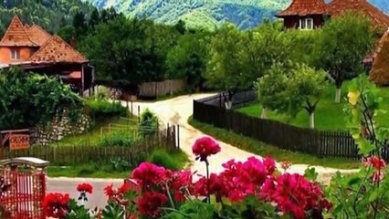 Puiu Nastase -din nou acasa