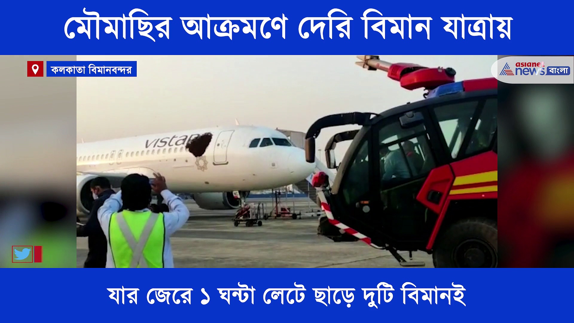 বিমানে মৌমাছির হানা, তাড়াতে গিয়ে হিমশিম খেল দমকল কর্মীরা