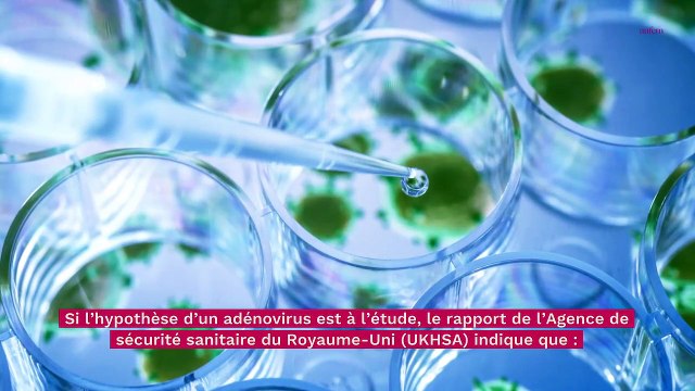 Hépatites aiguës d’origine inconnue : les enfants au contact des chiens seraient plus touchés