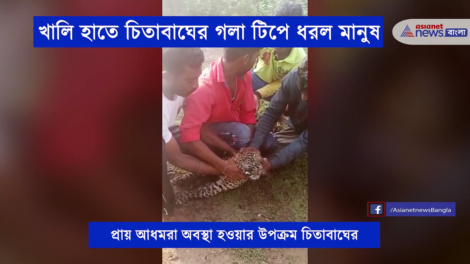 আধমরা চিতাকে ধরে চলল চুম্বন, নেট দুনিয়ায় ভাইরাল ফের নৃশংসতার ছবি