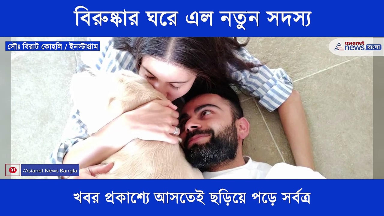 বিরুষ্কার ঘরে এল নতুন সদস্য, ফুটফুটে কন্যা সন্তানের জন্ম দিলেন অনুষ্কা শর্মা
