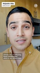 How the Climate Crisis Affects Honey