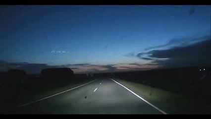 Très bon réflexe pour ce conducteur qui évite des vaches en pleine route de nuit