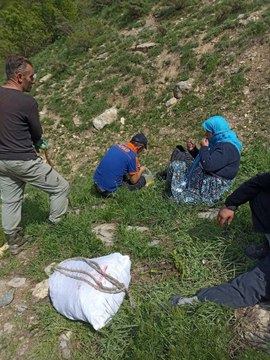 Dağda ot toplarken düşmesi sonucu ayağı kırılan kadın ekiplerce hastaneye ulaştırıldı