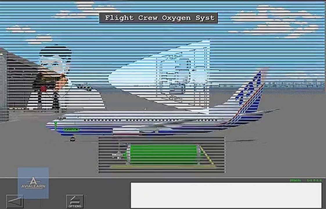 Flight Crew Oxygen System - Boeing 737 NG (1)