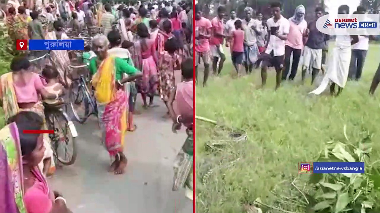 পুরুলিয়ার জঙ্গল থেকে লোকালয়ে অতিকায় ময়াল, তারপর কী হল, দেখে নিন