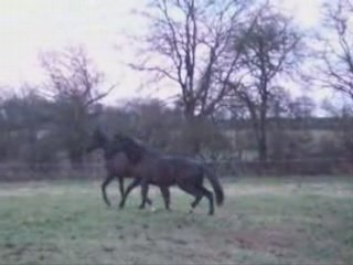 Dhéa - Visite du 1er février 2008