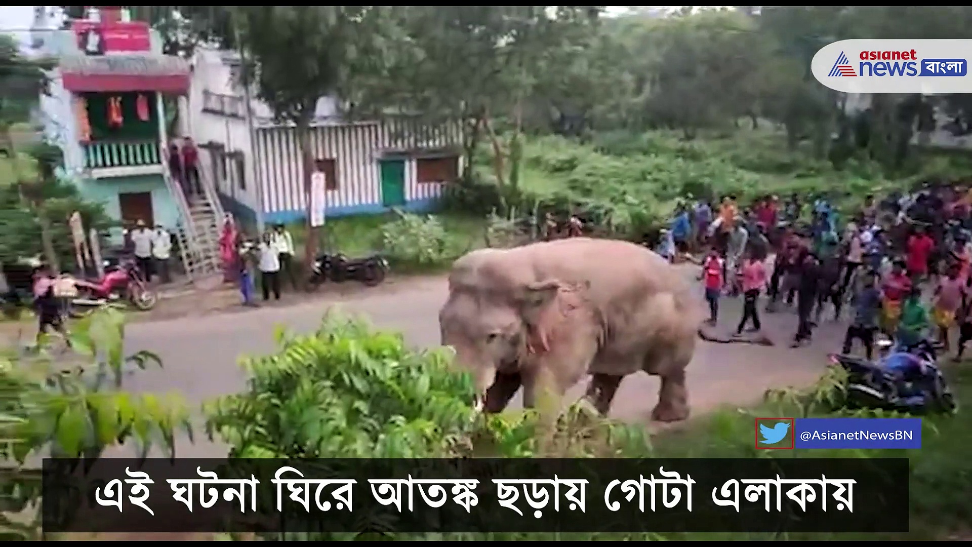 ধানের বস্তা নিয়ে চম্পট দিল হাতি, তপসিয়ার বাজারে দাঁতালের আতঙ্ক
