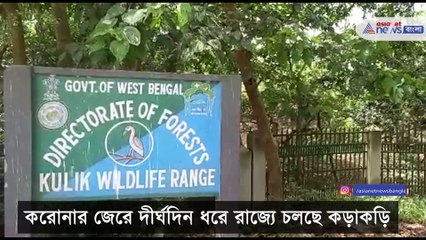 Migratory birds arriving at Kulik bird sanctuary