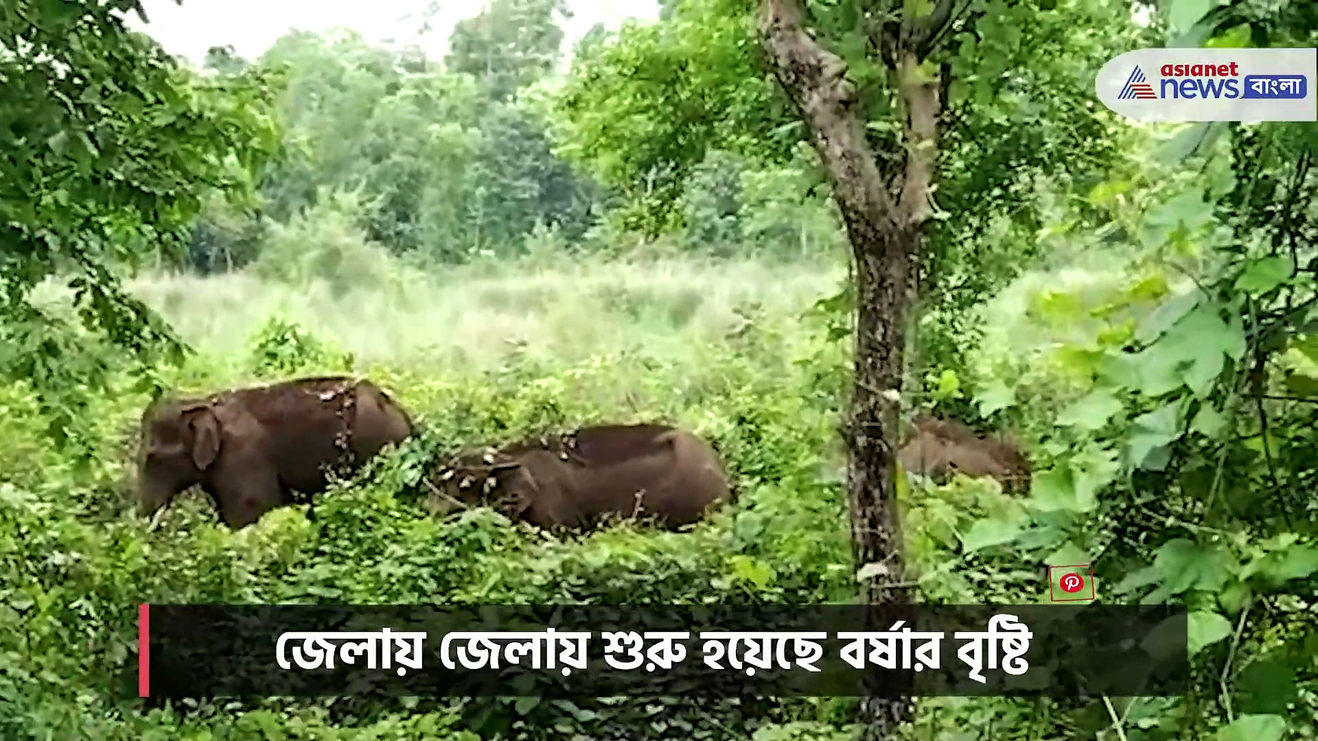 একেই বর্ষায় নাজেহাল অবস্থা, এবার জঙ্গলমহলে হাতির হানা