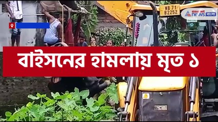 Woman killed by Bison attack in Malbazar