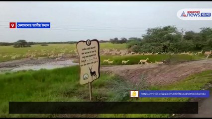 Deers cross the road