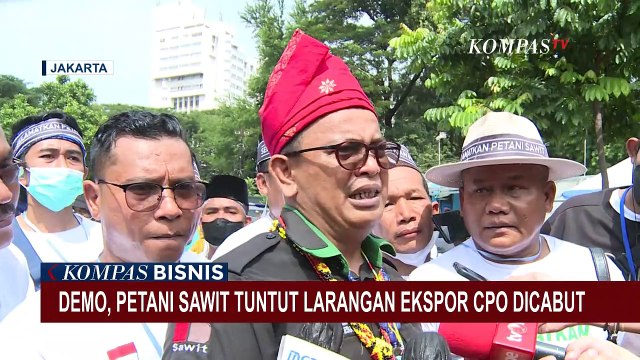 Harga Kelapa Sawit Anjlok, Petani Gelar Demo Tuntut Larangan Ekspor Dicabut
