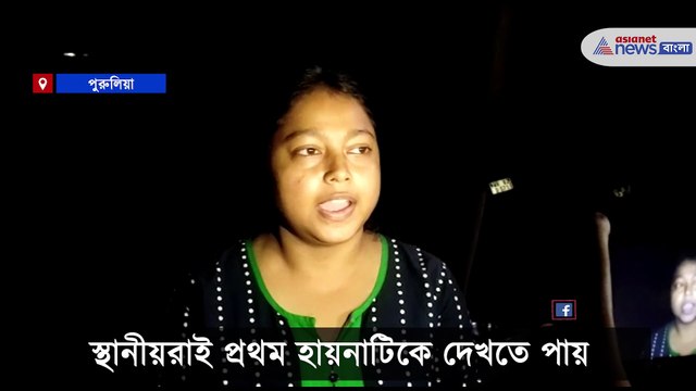 A injured hayna rescued in purulia