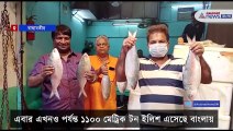 Padma hilsa fish from Bangladesh supposed to reach fish market in Kolkata