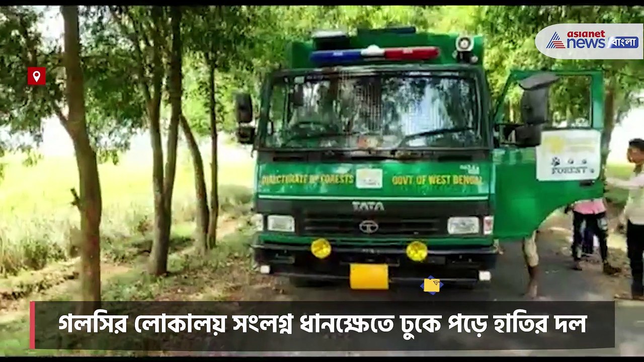 Burdwan elephant attack