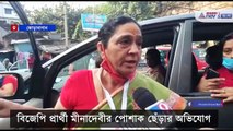 Allegations of attacks on BJP candidate Mina Devi Purohit