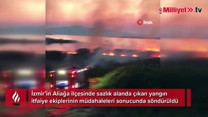 Aliağa’da sazlık alanda yangın