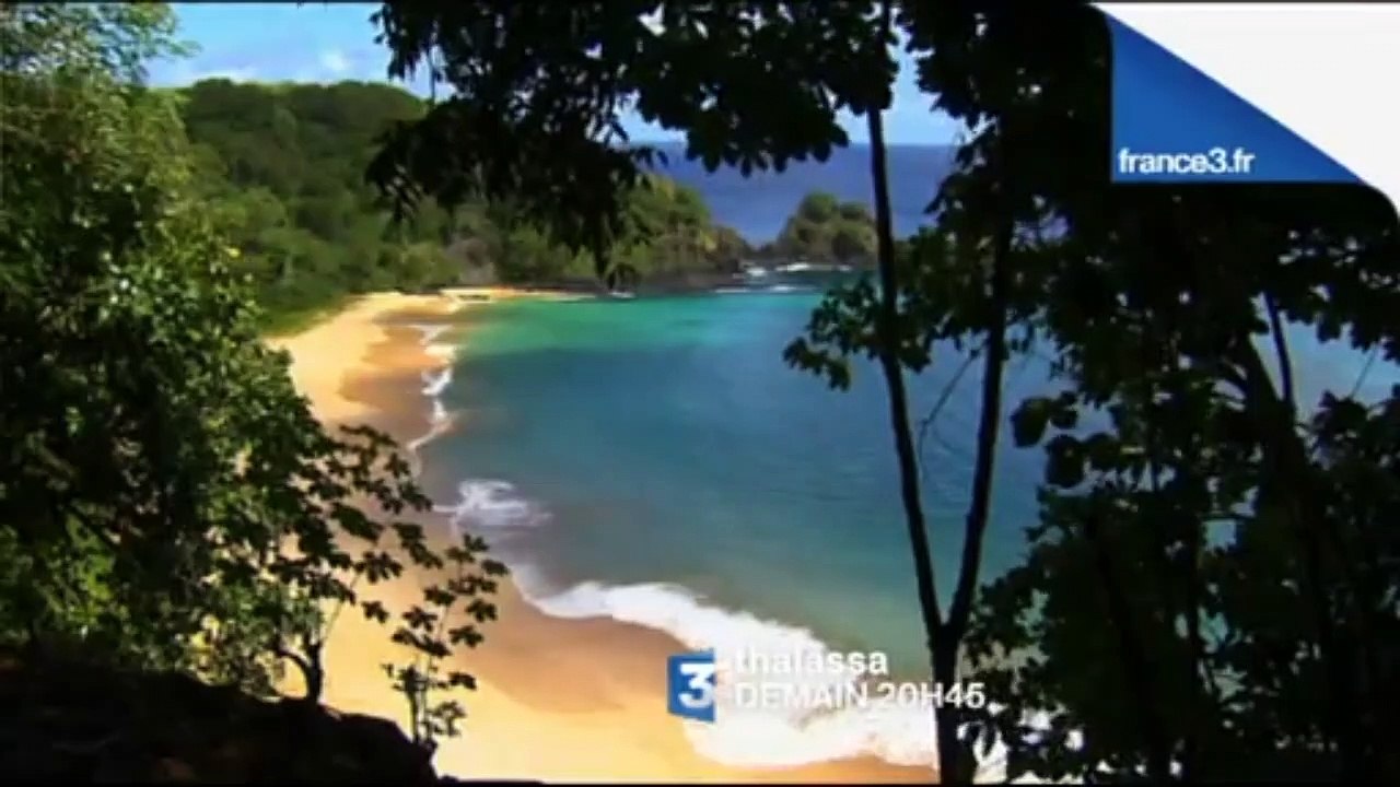 France 3 : C.N, 2 B.A : 04-10-2012